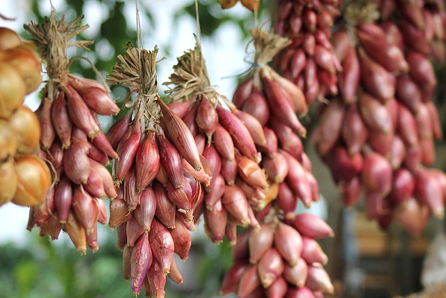 van kamerplant tot tuinparel: een reis door de wereld van bloemen, planten en interieurontwerp