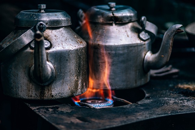Je ultieme bron voor seizoensgebonden koken: recepten voor de buitenkeuken in elk seizoen